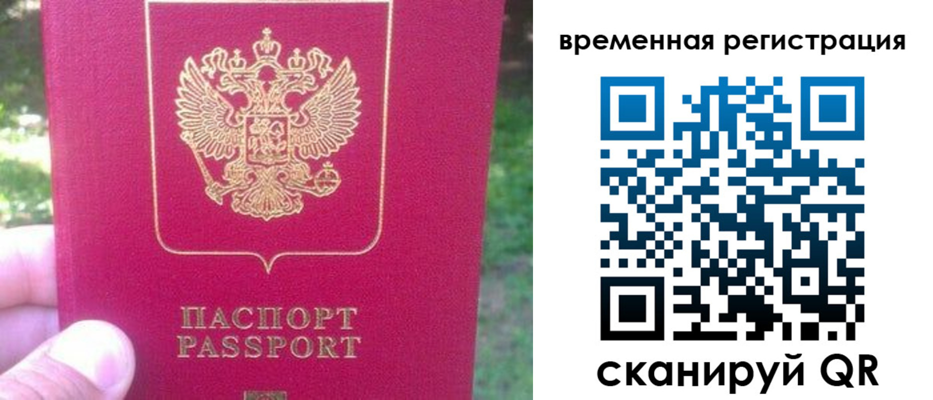 временная регистрация для школы в Электростали